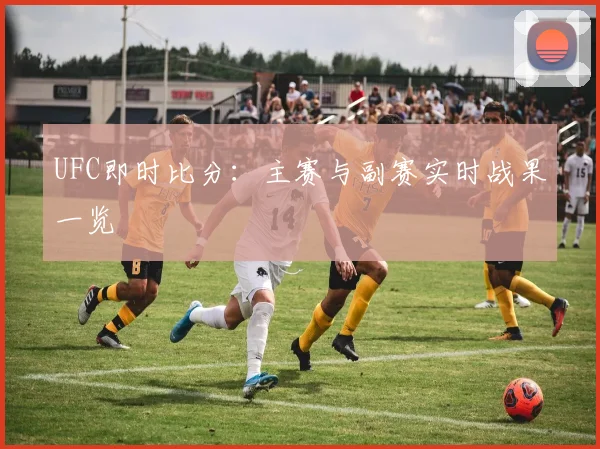 UFC即时比分：主赛与副赛实时战果一览