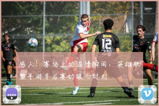 感人！赛场上的温情瞬间，英雄联盟手游季后赛的暖心时刻