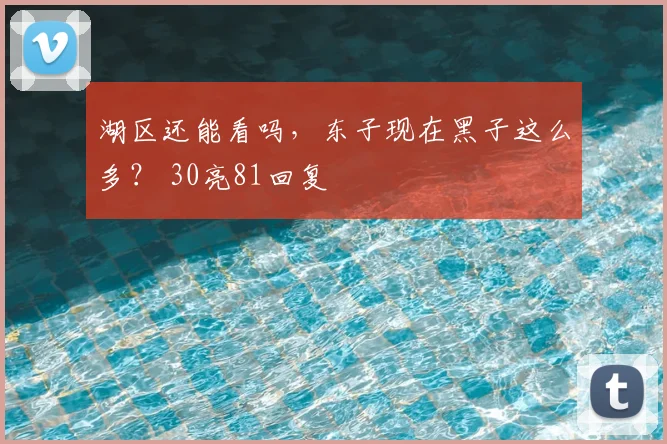 湖区还能看吗，东子现在黑子这么多？ 30亮81回复