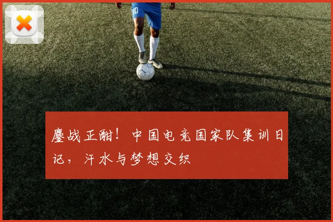 鏖战正酣！中国电竞国家队集训日记，汗水与梦想交织