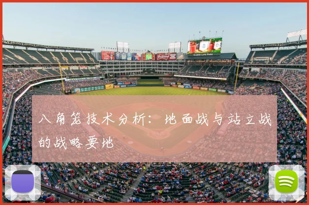 八角笼技术分析:地面战与站立战的战略要地