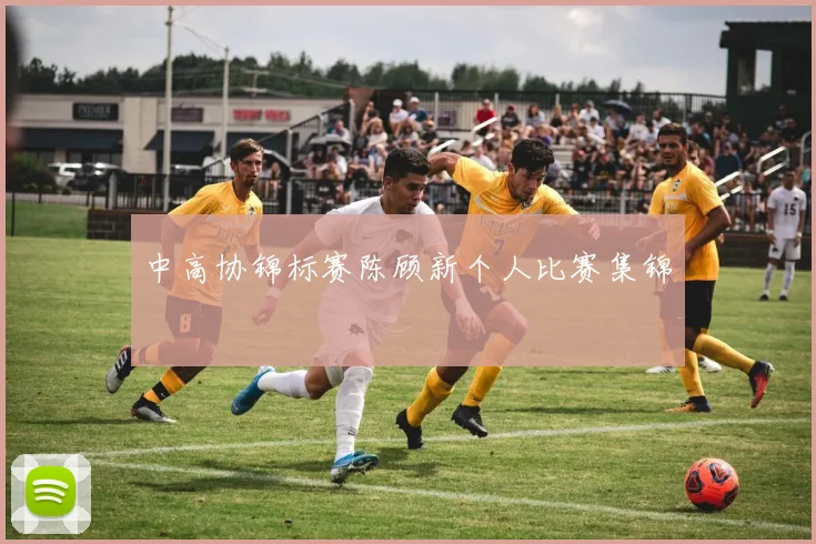 中高协锦标赛陈顾新个人比赛集锦