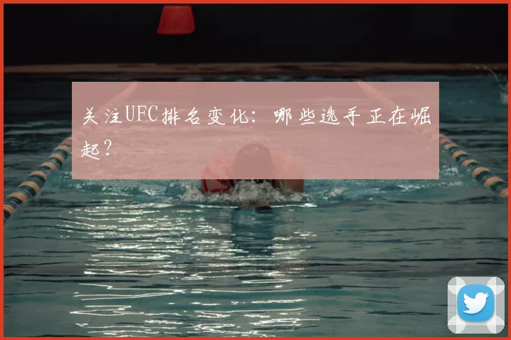 关注UFC排名变化：哪些选手正在崛起？