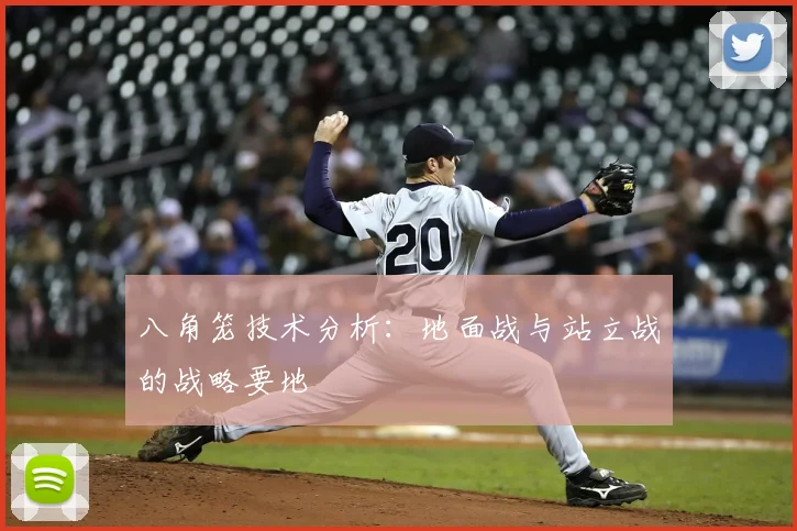 八角笼技术分析：地面战与站立战的战略要地