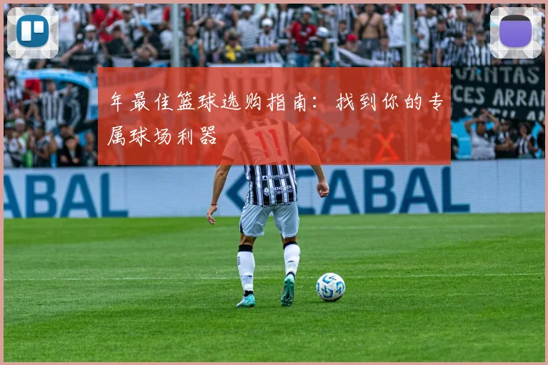 年最佳篮球选购指南:找到你的专属球场利器