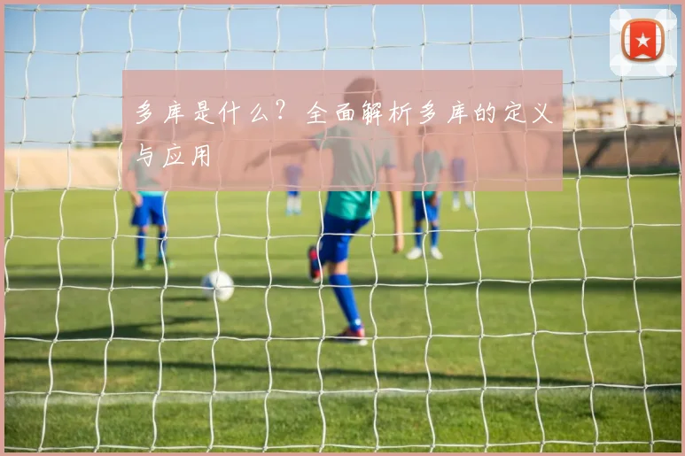 多库是什么？全面解析多库的定义与应用
