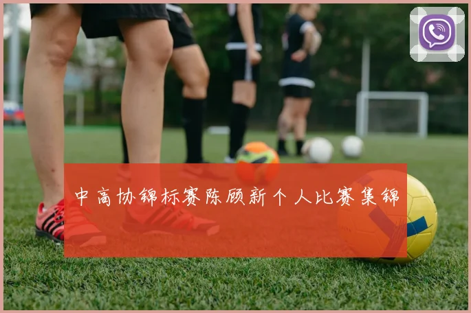 中高协锦标赛陈顾新个人比赛集锦