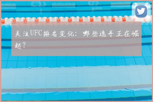 关注UFC排名变化:哪些选手正在崛起?