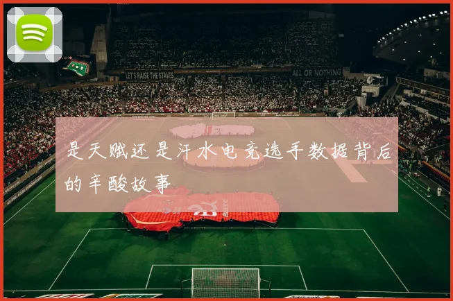 是天赋还是汗水电竞选手数据背后的辛酸故事