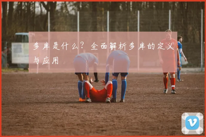 多库是什么？全面解析多库的定义与应用