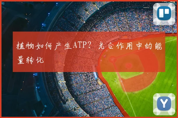 植物如何产生ATP？光合作用中的能量转化